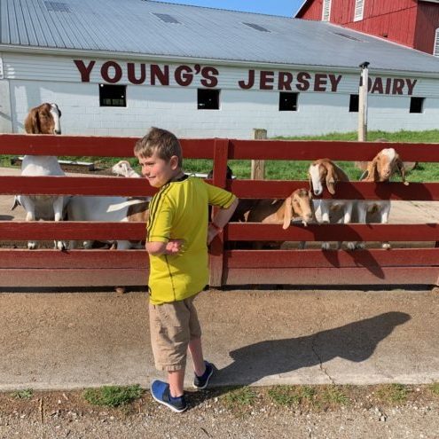 youngs jersey dairy yellow springs - 4 youngs jersey dairy yellow springs - 4